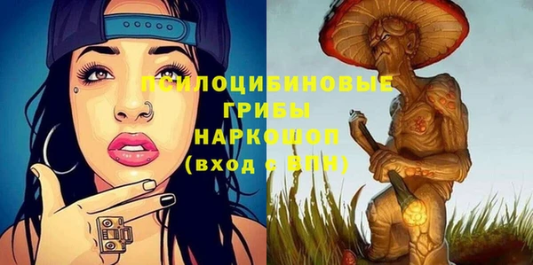 винт Алексеевка